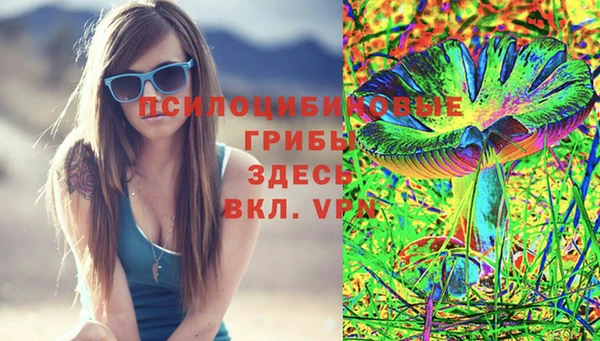 дурь Лихославль