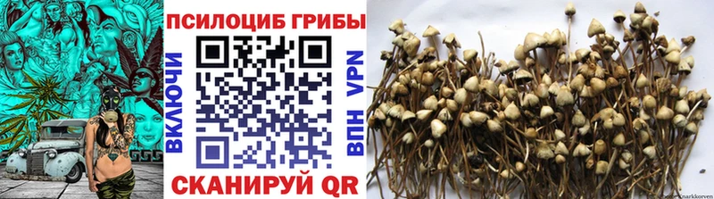 Псилоцибиновые грибы мухоморы  Купить  Волгореченск 